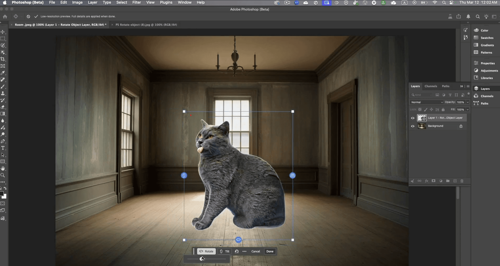 Rotate Object in Photoshop Beta